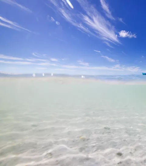 Kayaking in Florida's Paradise Coast