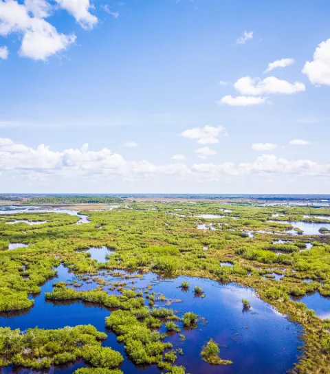 Camping & Fishing Supplies in Everglades City, FL