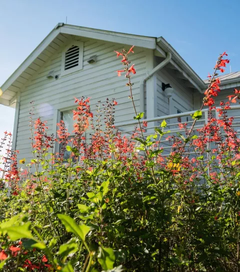 Immokalee Pioneer Museum