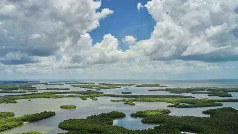 Ten Thousand Islands National Wildlife Refuge is p