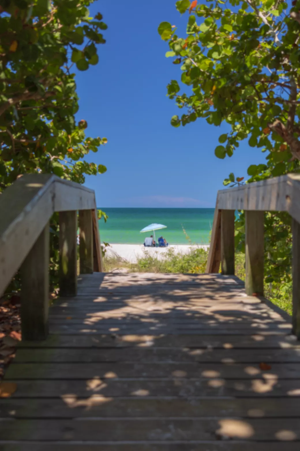 Naples Beach  Paradise Coast