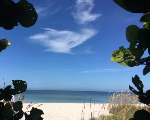 Beach view in Paradise