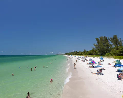 Tips for Finding Beautiful Shells on Naples Beaches